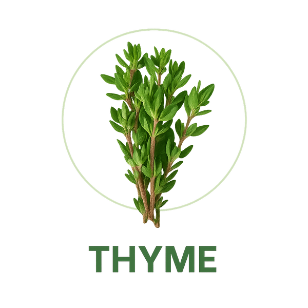 Thyme