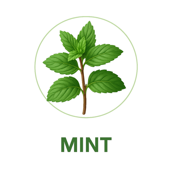 Mint